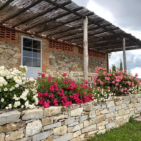 Tregole Apartamento Castellina in Chianti Exterior foto
